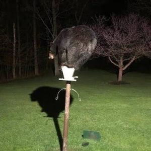 Meet your Posher, Macon